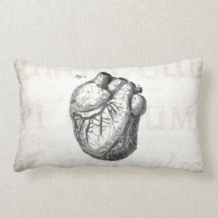 Coussin Rectangle Rétros coeurs cardiaques d'anatomie de coeur