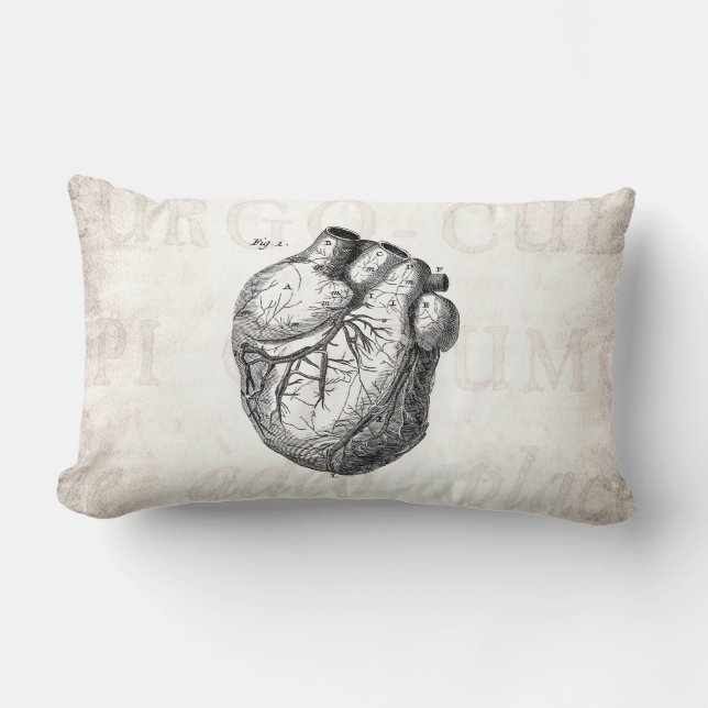 Coussin Rectangle Rétros coeurs cardiaques d'anatomie de coeur (Recto)
