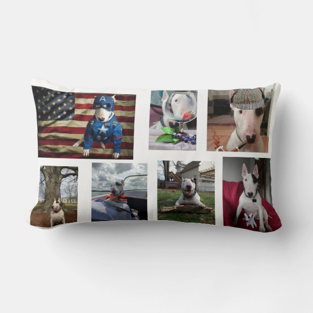 Coussin Rectangle Rex la TV Terrier (Recto)