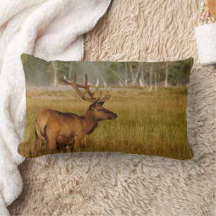 Coussin Rectangle Rocky Mountain Elk Yellowstone National Park