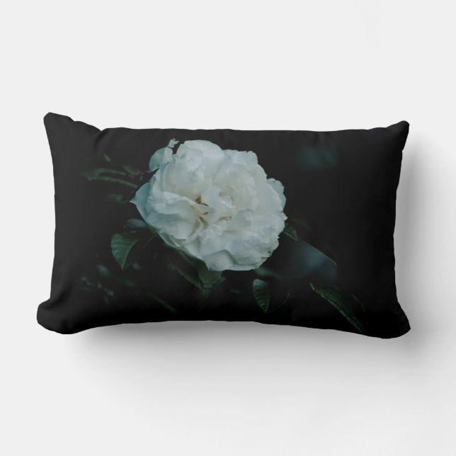 Coussin Rectangle Rose blanche (Recto)
