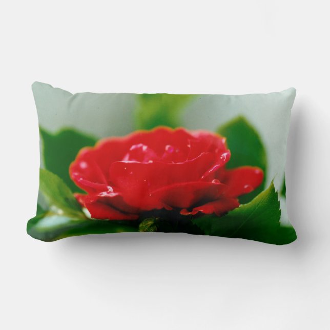Coussin Rectangle Rose rouge de la passion couverte de gouttes de ro (Recto)