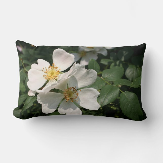 Coussin Rectangle Rosier blanc (Recto)
