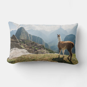 Coussin Rectangle Ruines de négligence de lama Machu Picchu, Pérou