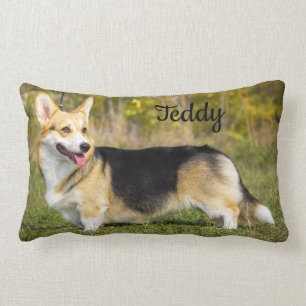 Coussin Rectangle Sable Cardigan Welsh Corgi Chien