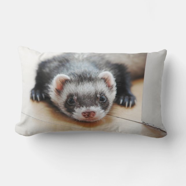 Coussin Rectangle Sable Ferret (Recto)