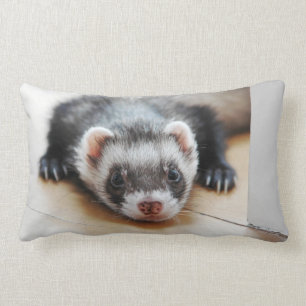Coussin Rectangle Sable Ferret