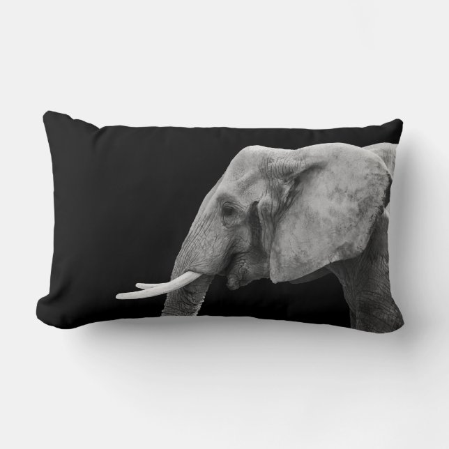 Coussin Rectangle Safari éléphant africain photo d'un animal (Recto)