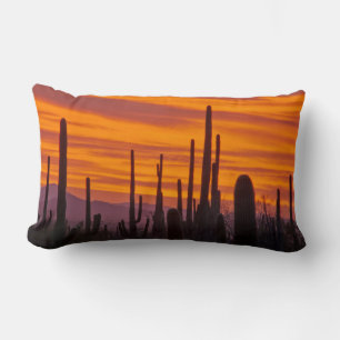 Coussin Rectangle Saguaro, coucher de soleil, Parc national de Sagua