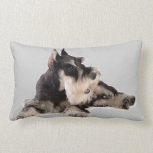 COUSSIN RECTANGLE SCHNAUZER GÉANT