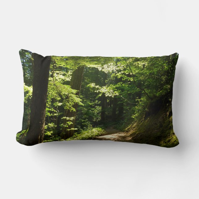 Coussin Rectangle Sentier de Silver Falls (Recto)