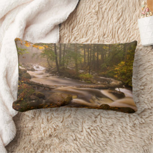 Coussin Rectangle Sentier des Appalaches ruisselant   Vermont