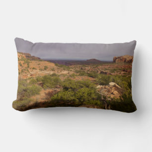 Coussin Rectangle Sentier Neck Springs dans le parc national de Cany
