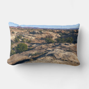 Coussin Rectangle Sentier Pothole Point à Canyonlands National Park