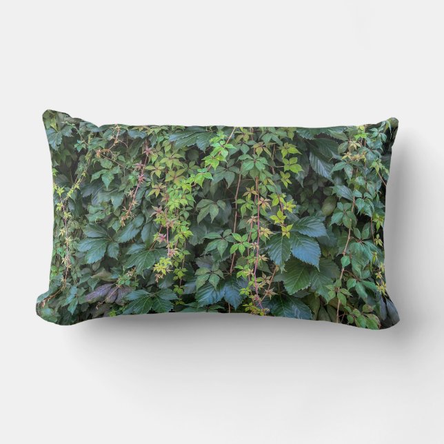 Coussin Rectangle Serene Green Ivy Wall Suspendre Vins Plantes Feuil (Recto)