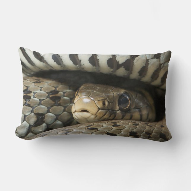 Coussin Rectangle Serpent (Recto)
