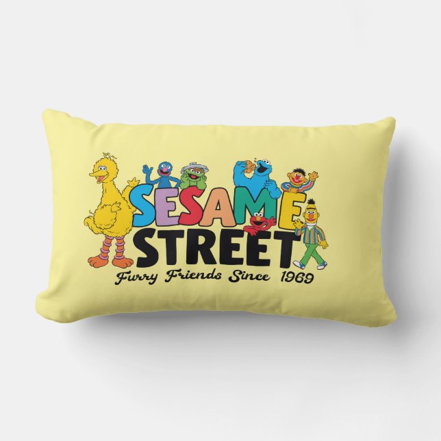 Coussin Rectangle Sesame Street | Les amis à fourrure depuis 1969 (Recto)