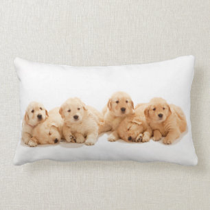 Coussin Rectangle Six Marionnettes Golden Retriever