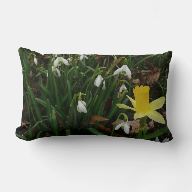 Coussin Rectangle Snowdrops et Daffodil Spring Floral (Recto)