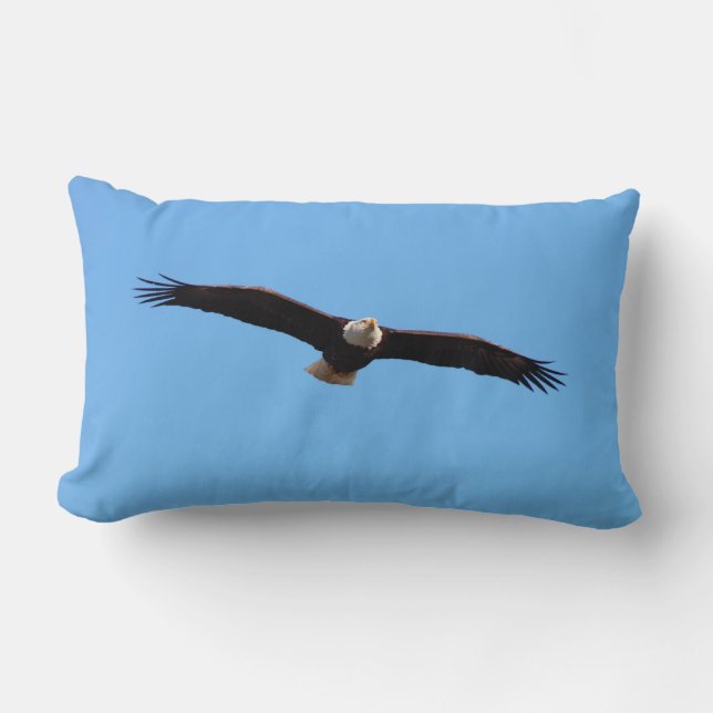 Coussin Rectangle Solaire d'aigle chauve (Recto)