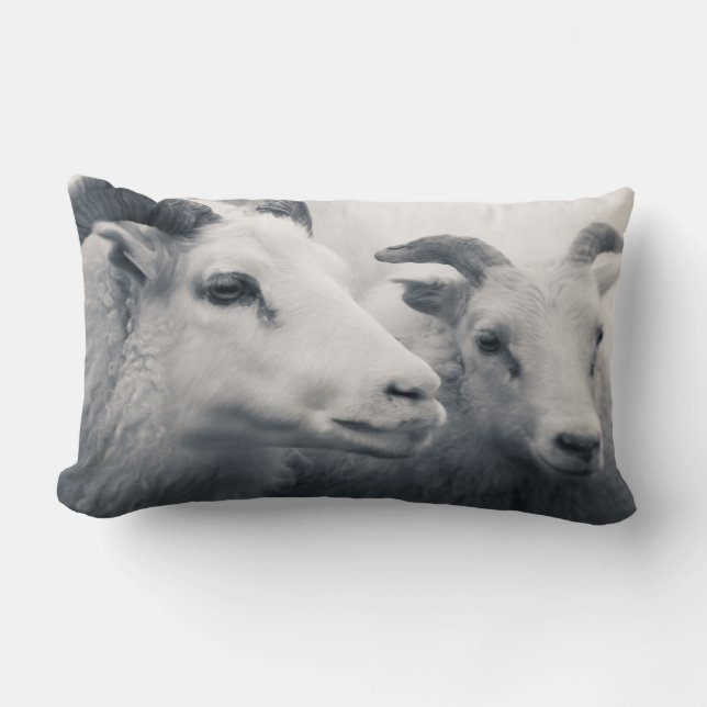 Coussin Rectangle Soyez aimable (Recto)