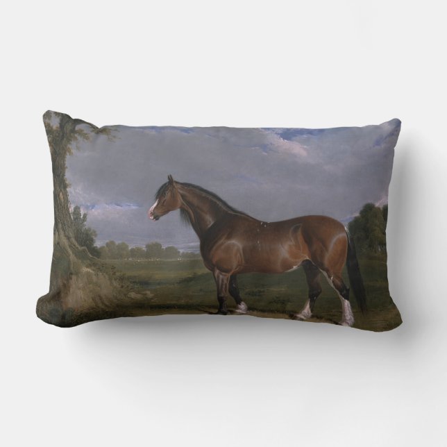 Coussin Rectangle Stallion de Clydesdale (Thoroughbred Horse) (Anima (Recto)
