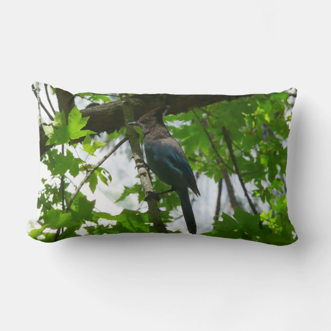 Coussin Rectangle Steller's Jay dans le parc national de Yosemite (Recto)