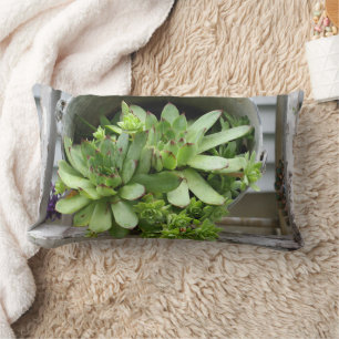 Coussin Rectangle Succulentes Poules Et Poussins Dans Un Seau