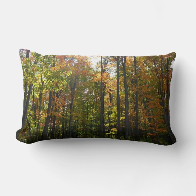 Coussin Rectangle Sunlit Fall Forest Paysage d'automne (Recto)