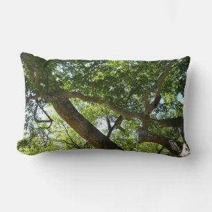 Coussin Rectangle Sycamore Tree Nature verte