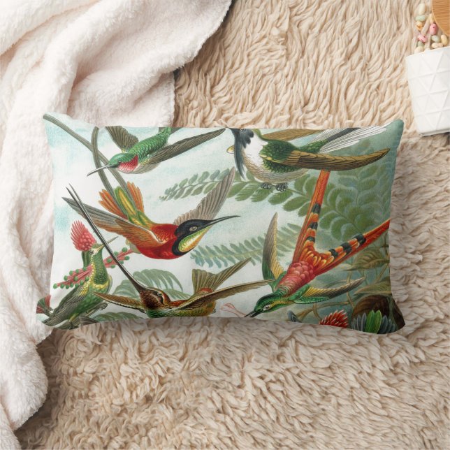 Coussin Rectangle tableau classique de la faune des oiseaux colibris (Couverture)