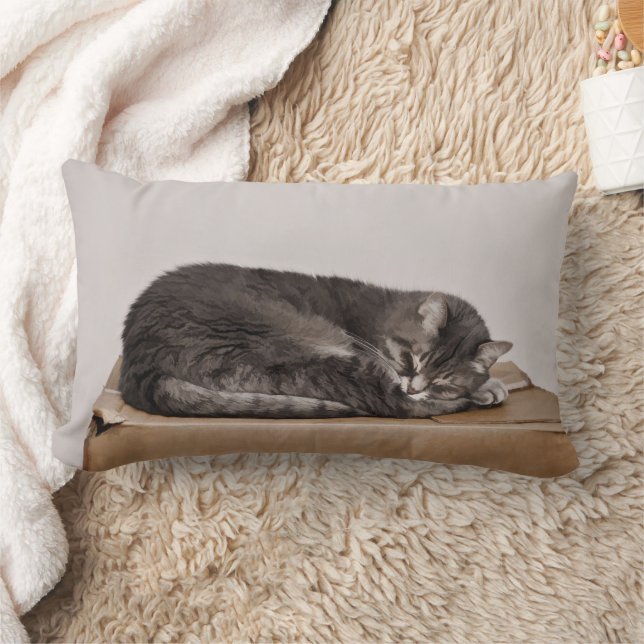 Coussin Rectangle Tablette Gris Chat Dormir Sur Boîte (Couverture)