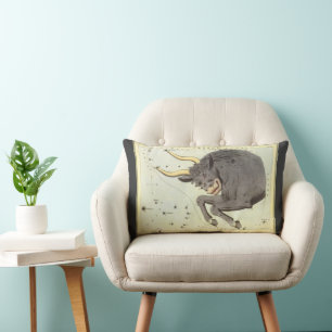 Coussin Rectangle Taureau, Constellation Vintage Urania's Mirror