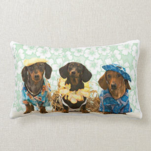 Coussin Rectangle Teckels intuitifs
