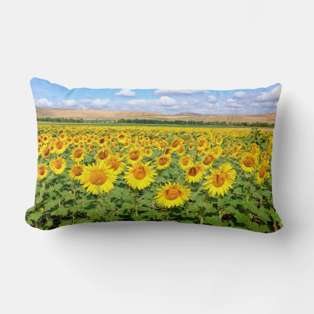 Coussin Rectangle Terrain de tournesol (Recto)