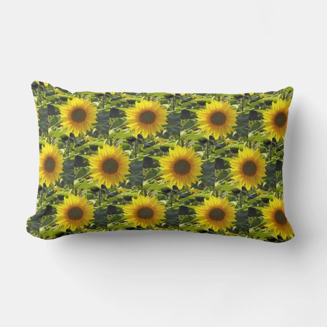 Coussin Rectangle Terrain Sunflower (Recto)