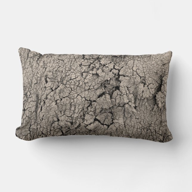 Coussin Rectangle Texture Cool de la Terre fissurée (Recto)