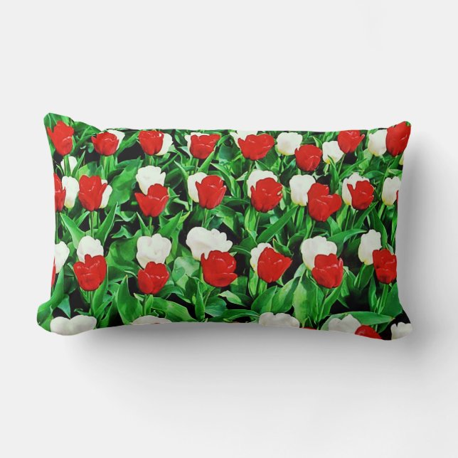 Coussin Rectangle Throw Pillow (Recto)
