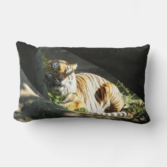 Coussin Rectangle Tiger Catnap (Recto)