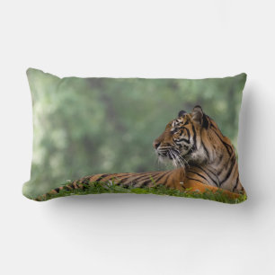 Coussin Rectangle Tigre allongé sous un arbre