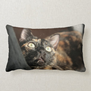 Coussin Rectangle torti