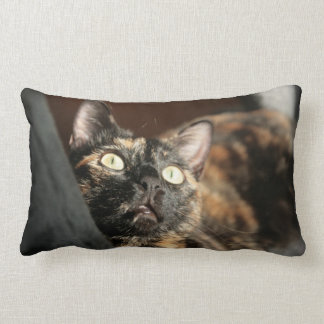 Coussin Rectangle torti
