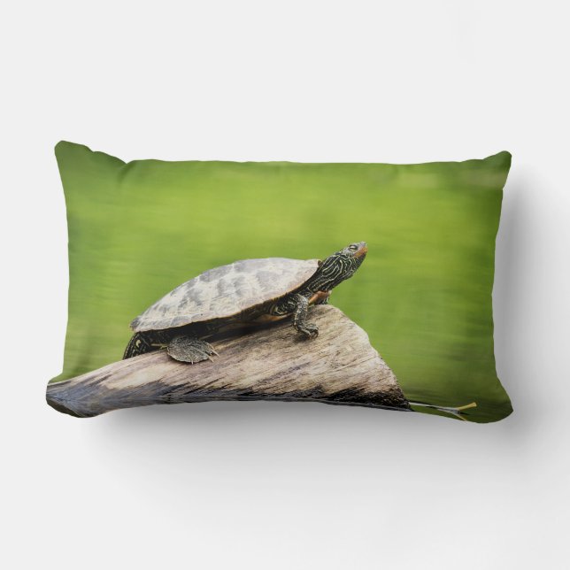 Coussin Rectangle Tortue peinte sur un bûcher (Recto)