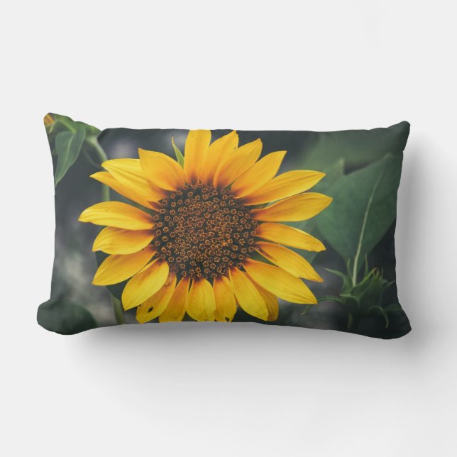 Coussin Rectangle Tournesol (Recto)