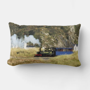 COUSSIN RECTANGLE TRAINS DE VAPEUR