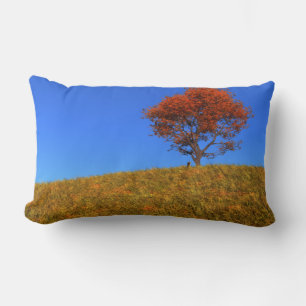 Coussin Rectangle Traversin de jour d'automne clair