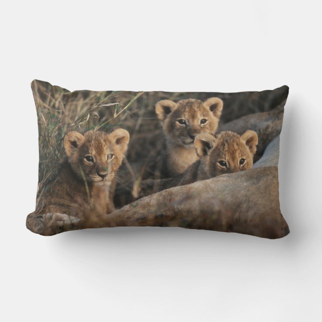 Coussin Rectangle Trio de Lion Cubs with Mother (Recto)