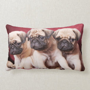 Coussin Rectangle Triplés Carlin