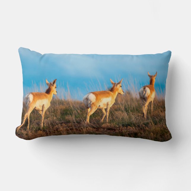 Coussin Rectangle Trois antilopes qui se promènent au coucher du sol (Recto)