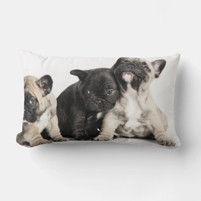 Coussin Rectangle Trois Carlins (Recto)